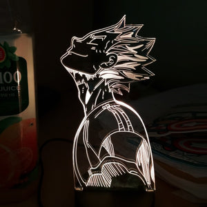 Haikyuu Kotaro Bokuto night light